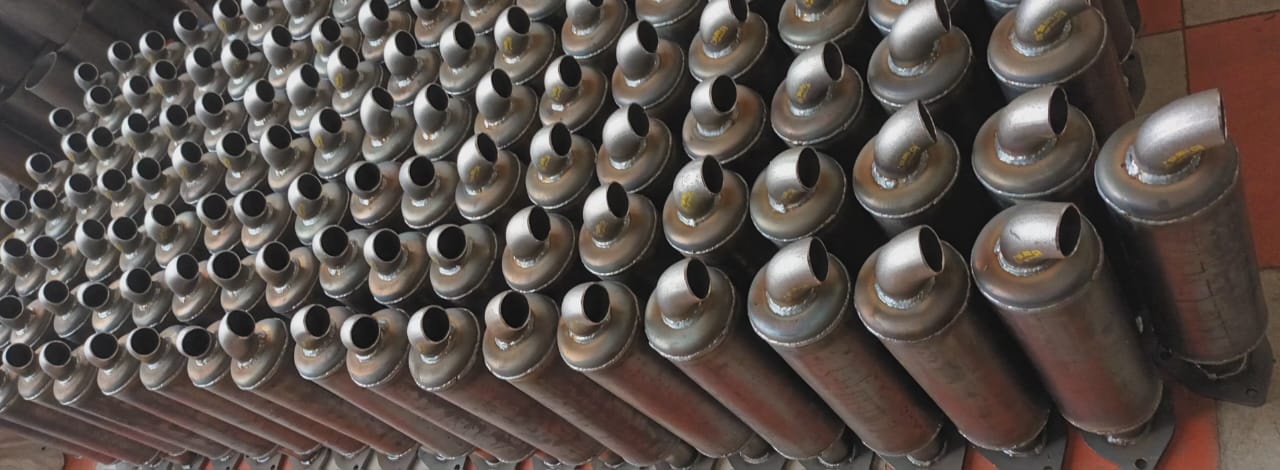 اگزوزموتوردوییتس ایستاده